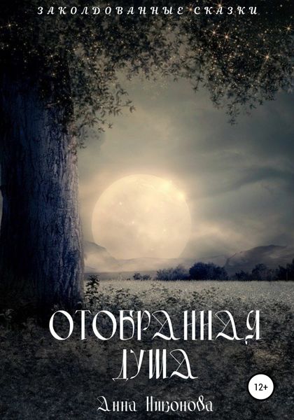 Обложка книги  «Отобранная душа»