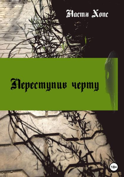 Обложка книги  «Переступив черту»