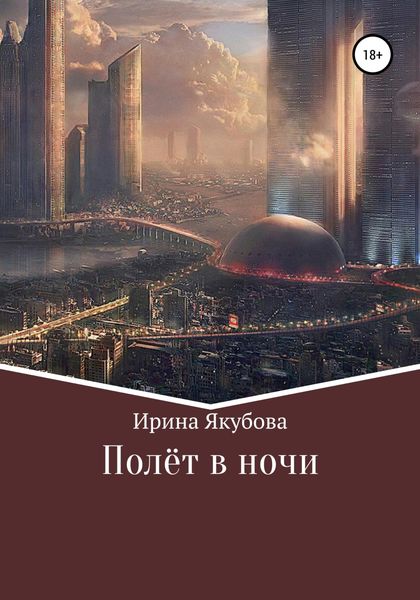 Обложка книги  «Полёт в ночи»