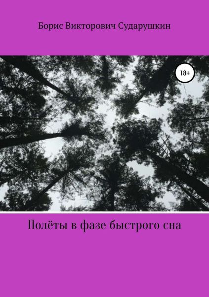 Обложка книги  «Полёты в фазе быстрого сна»