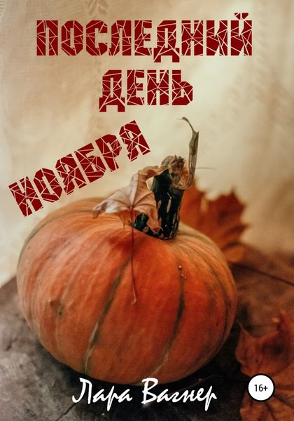 Обложка книги  «Последний день ноября»