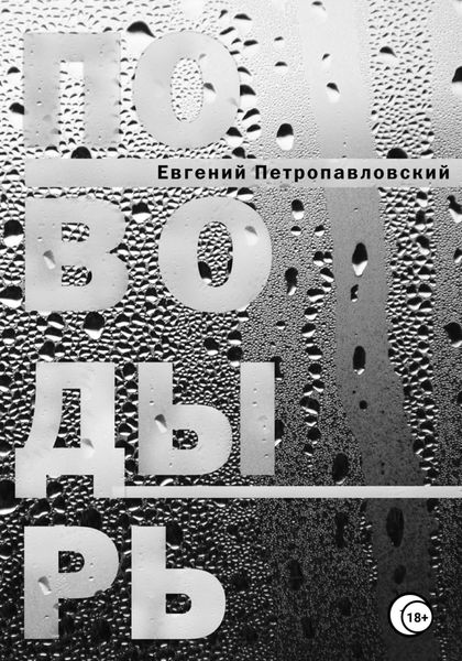 Обложка книги  «Поводырь»