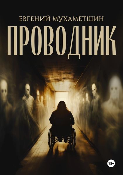 Обложка книги  «Проводник»