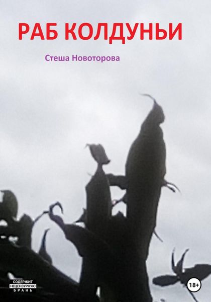 Обложка книги  «Раб колдуньи»
