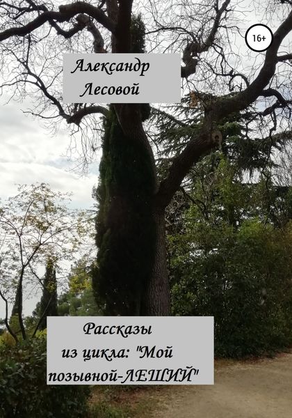 Обложка книги  «Рассказы из цикла: «Мой позывной Леший»»