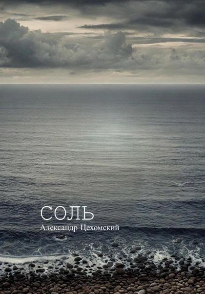Обложка книги  «Соль»