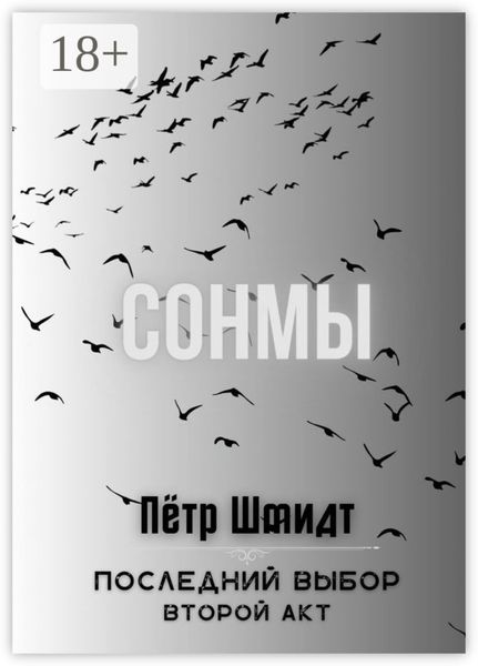 Обложка книги  «Сонмы. Последний выбор – Второй акт»
