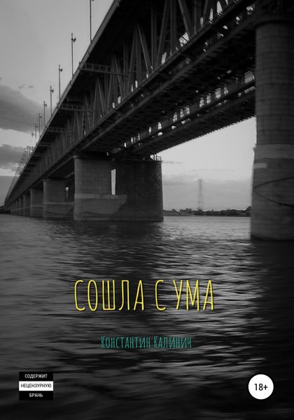 Обложка книги  «Сошла с ума»
