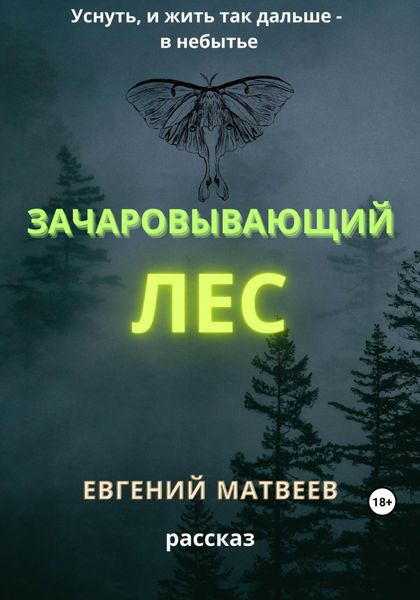 Обложка книги  «Зачаровывающий лес»
