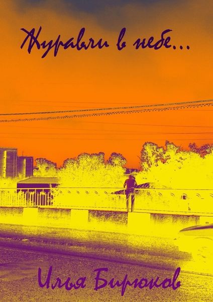 Обложка книги  «Журавли в небе…»