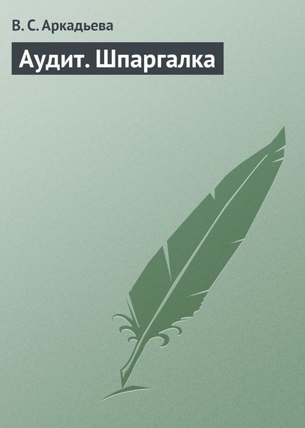 Обложка книги «Аудит. Шпаргалка»