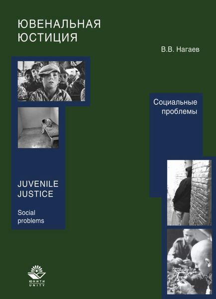 Обложка книги  «Ювенальная юстиция. Социальные проблемы»