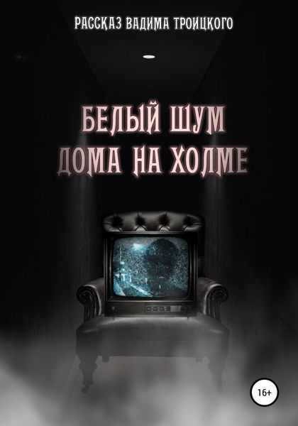 Обложка книги  «Белый шум дома на холме»