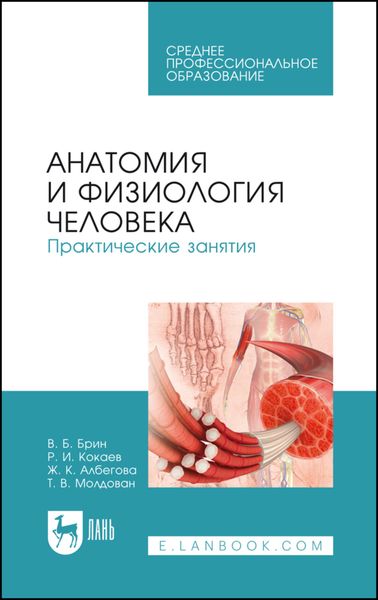 Обложка книги «Анатомия и физиология человека. Практические занятия»
