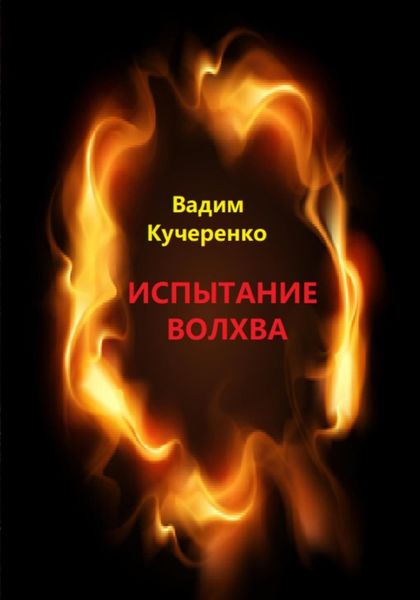 Обложка книги  «Испытание волхва»