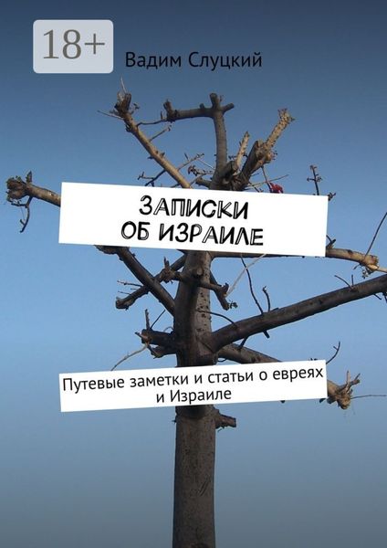 Обложка книги «Записки об Израиле. Путевые заметки и статьи о евреях и Израиле»