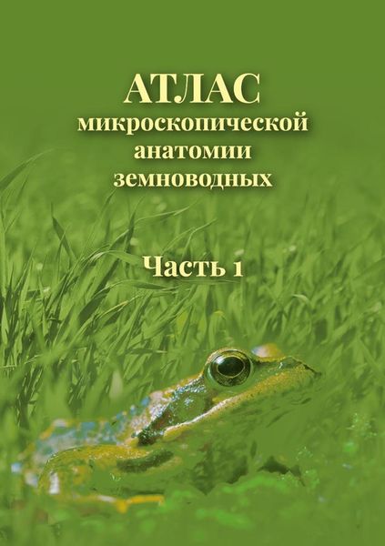 Обложка книги  «Атлас микроскопической анатомии земноводных. Часть 1»