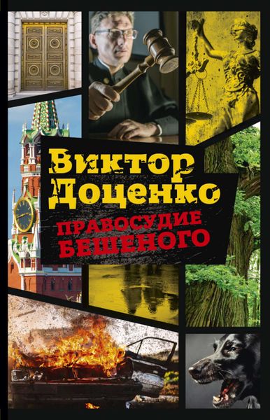 Обложка книги  «Правосудие Бешеного»