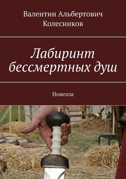Обложка книги  «Лабиринт бессмертных душ. Новелла»