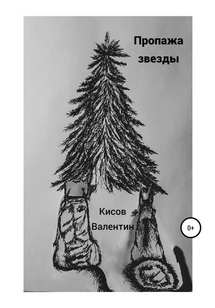 Обложка книги  «Пропажа звезды»