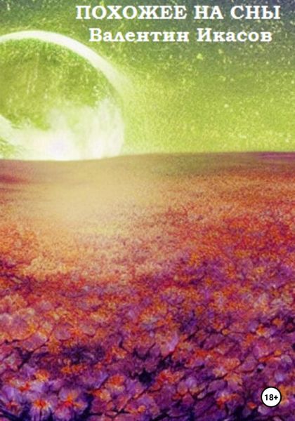 Обложка книги  «Похожее на сны»