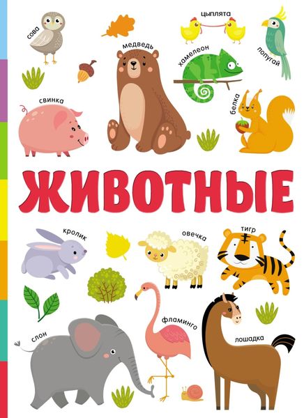 Обложка книги  «Животные»