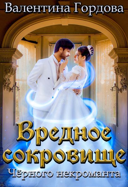 Обложка книги «Вредное сокровище Чёрного некроманта»