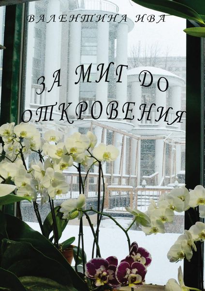 Обложка книги  «За миг до откровения»