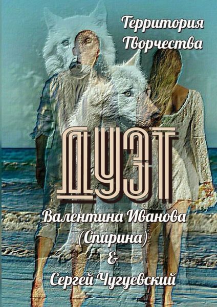 Обложка книги  «Дуэт»