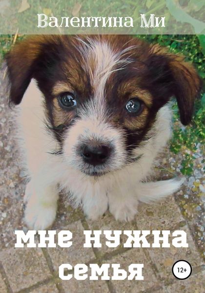Обложка книги  «Мне нужна семья…»