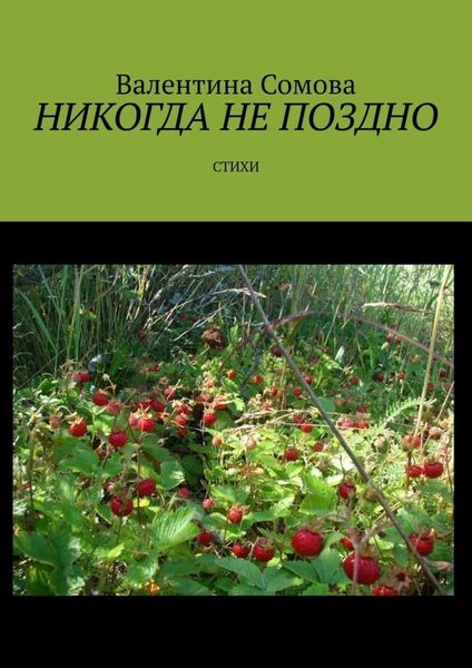 Обложка книги «Никогда не поздно. Стихи»