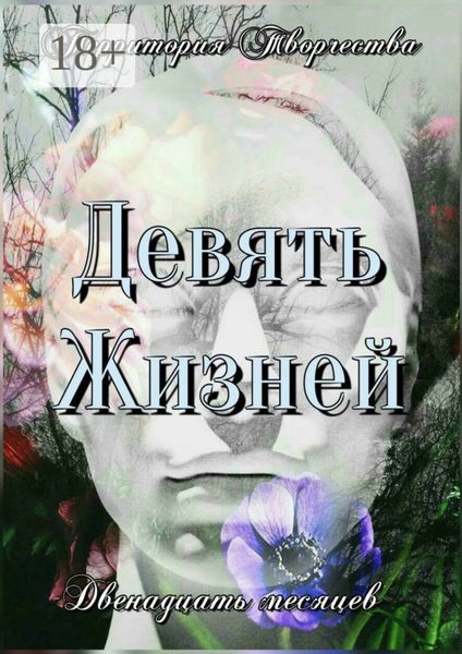 Обложка книги  «Девять жизней. Двенадцать месяцев»