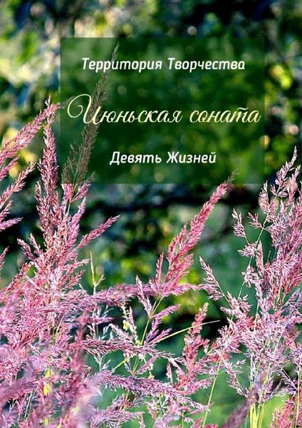 Обложка книги  «Июньская соната. Девять Жизней»