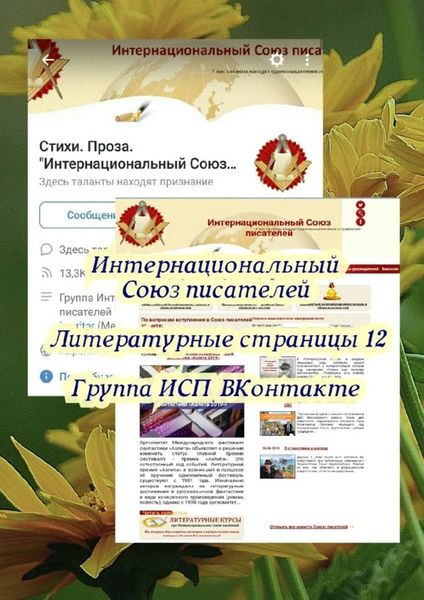 Обложка книги  «Литературные страницы – 12. Группа ИСП ВКонтакте»