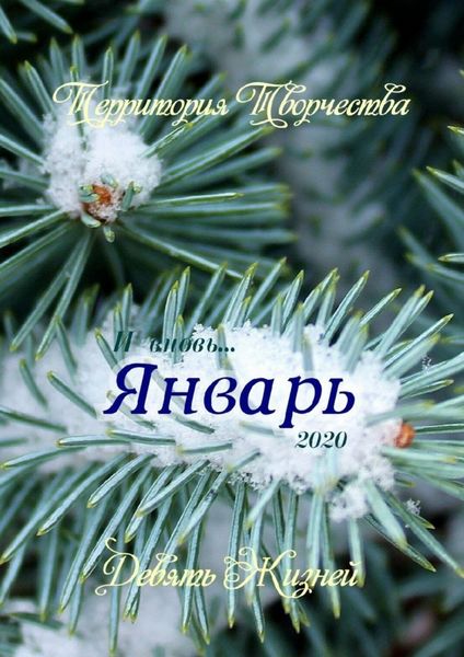 Обложка книги  «Январь. Девять Жизней»
