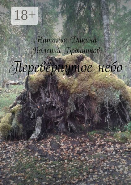 Обложка книги «Перевёрнутое небо»