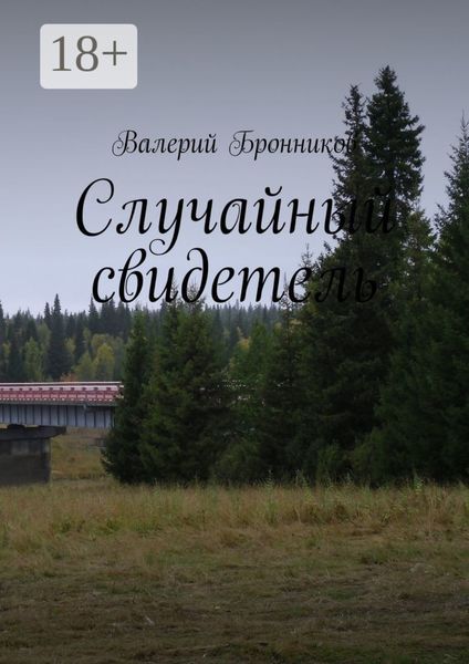 Обложка книги «Случайный свидетель»