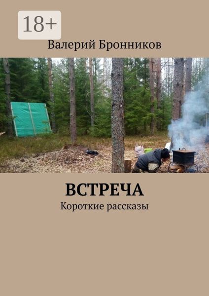 Обложка книги  «Встреча. Короткие рассказы»