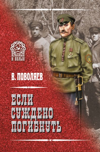 Обложка книги  «Если суждено погибнуть»