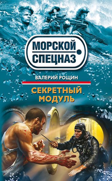 Обложка книги «Секретный модуль»