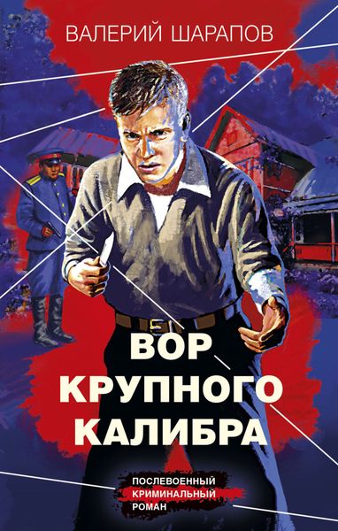 Обложка книги «Вор крупного калибра»