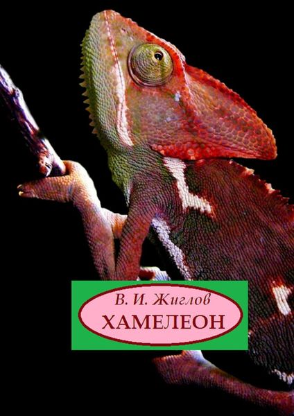 Обложка книги  «Хамелеон. Рассказы»