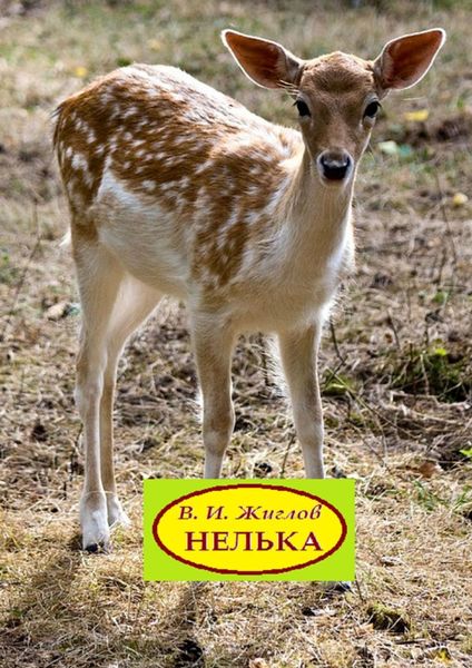 Обложка книги  «Нелька. Рассказы о природе»