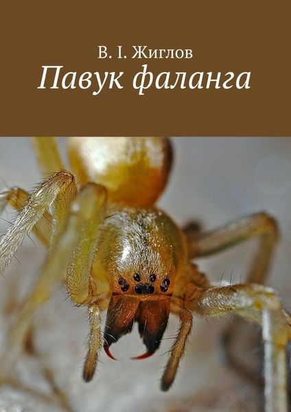 Обложка книги  «Павук фаланга»