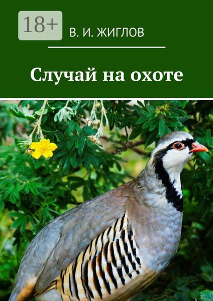 Обложка книги  «Случай на охоте»