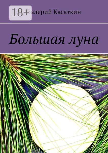 Обложка книги «Большая луна»