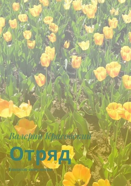 Обложка книги  «Отряд. Книжки-невелички»