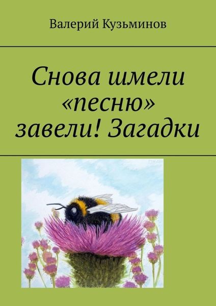 Обложка книги  «Снова шмели «песню» завели! Загадки»