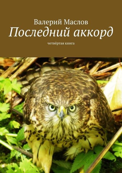 Обложка книги  «Последний аккорд. Четвёртая книга»
