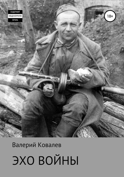 Обложка книги  «Эхо войны»